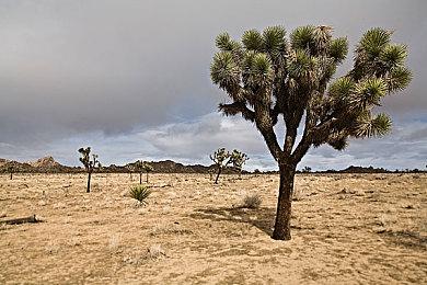 Xbox确认今年夏季将有线下的发布会活动