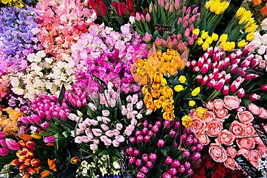 《定制机甲大战》新预告 12月14日正式发售