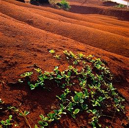 在Switch2上运行虚幻5游戏或会受到CPU限制